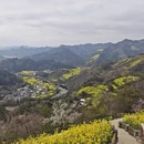 黄山旅游 缩略图 6