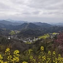 黄山旅游 缩略图 4