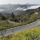 黄山旅游 缩略图 3