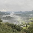 黄山旅游 缩略图 1