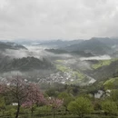 黄山旅游 缩略图 2
