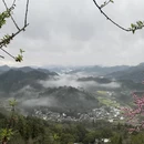 黄山旅游 缩略图 4
