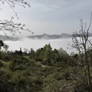 黄山旅游 缩略图 7
