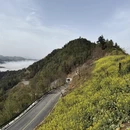 黄山旅游 缩略图 4