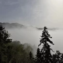 黄山旅游 缩略图 8