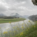 黄山旅游 缩略图 7