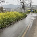 黄山旅游 缩略图 4