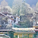 阿坝旅游 缩略图 11