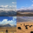 阿坝旅游 缩略图 17