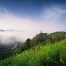 黄山旅游 缩略图 7