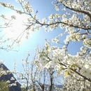 阿坝旅游 缩略图 3