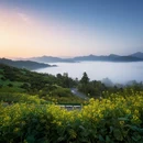 黄山旅游 缩略图 8