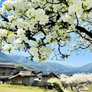 阿坝旅游 缩略图 5