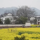 黄山旅游 缩略图 7