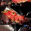 黄山旅游 缩略图 8