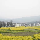 黄山旅游 缩略图 8