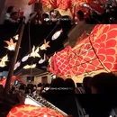 黄山旅游 缩略图 9