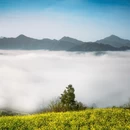 黄山旅游 缩略图 2