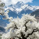 阿坝旅游 缩略图 1