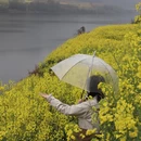 黄山旅游 缩略图 9