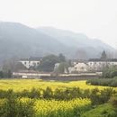 黄山旅游 缩略图 10