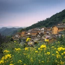 黄山旅游 缩略图 12