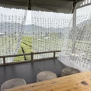 黄山旅游 缩略图 18