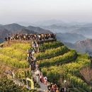 黄山旅游 缩略图 3