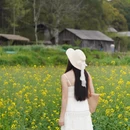 黄山旅游 缩略图 2