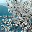 阿坝旅游 缩略图 2