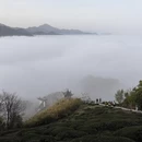 黄山旅游 缩略图 7