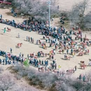 甘孜旅游 缩略图 3