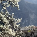 阿坝旅游 缩略图 3