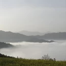 黄山旅游 缩略图 11