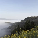 黄山旅游 缩略图 12