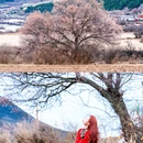 阿坝旅游 缩略图 2