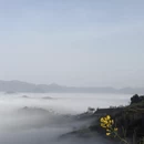 黄山旅游 缩略图 13