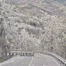 阿坝旅游 缩略图 5