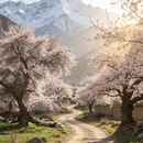 甘孜旅游 缩略图 2