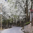 阿坝旅游 缩略图 6