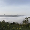 黄山旅游 缩略图 8