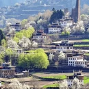 阿坝旅游 缩略图 8