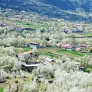 阿坝旅游 缩略图 9