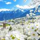 阿坝旅游 缩略图 1