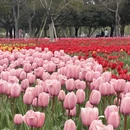 苏州旅游 缩略图 2