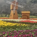 苏州旅游 缩略图 13