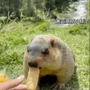 阿坝旅游 缩略图 17