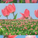 宁波旅游 缩略图 2
