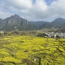 黄山旅游 缩略图 3