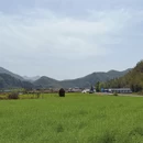宣城旅游 缩略图 6